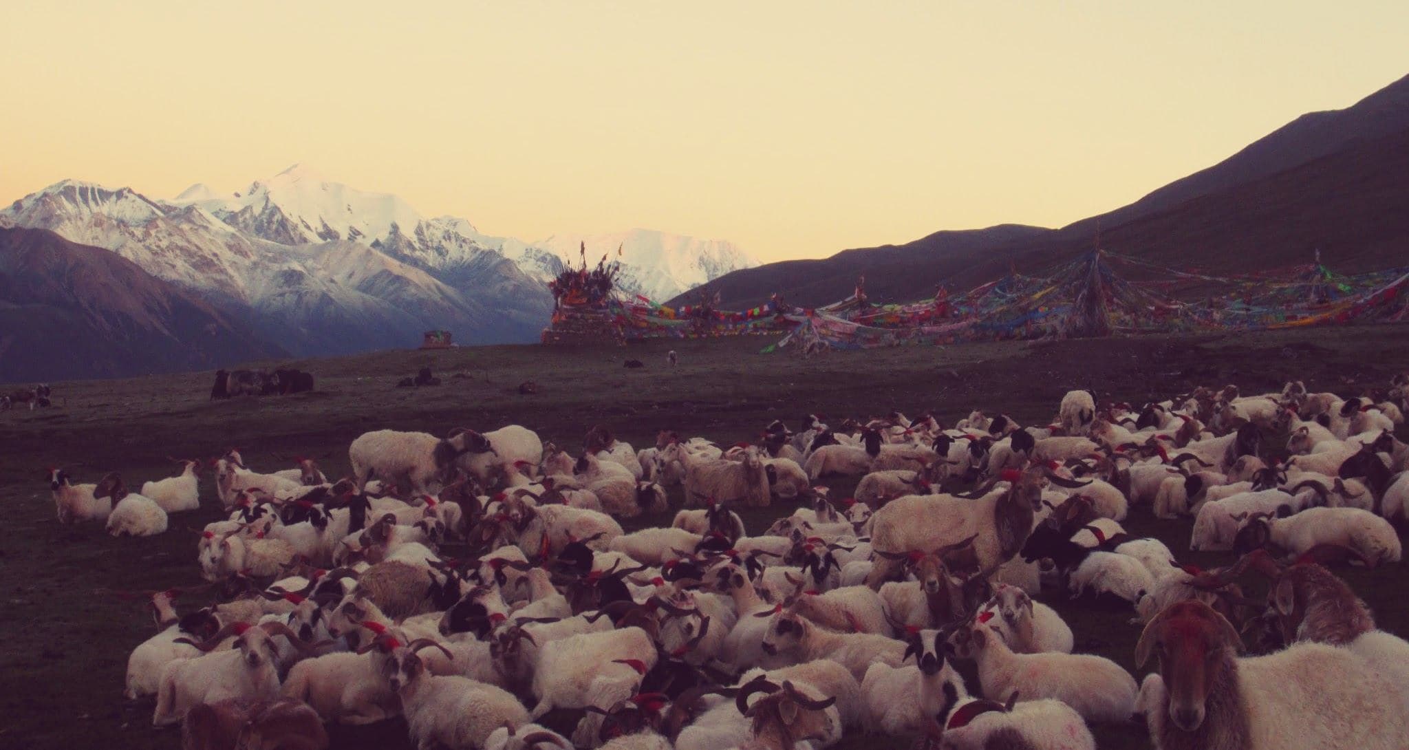 Blog Banner